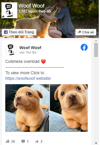 fanpage Woof woof