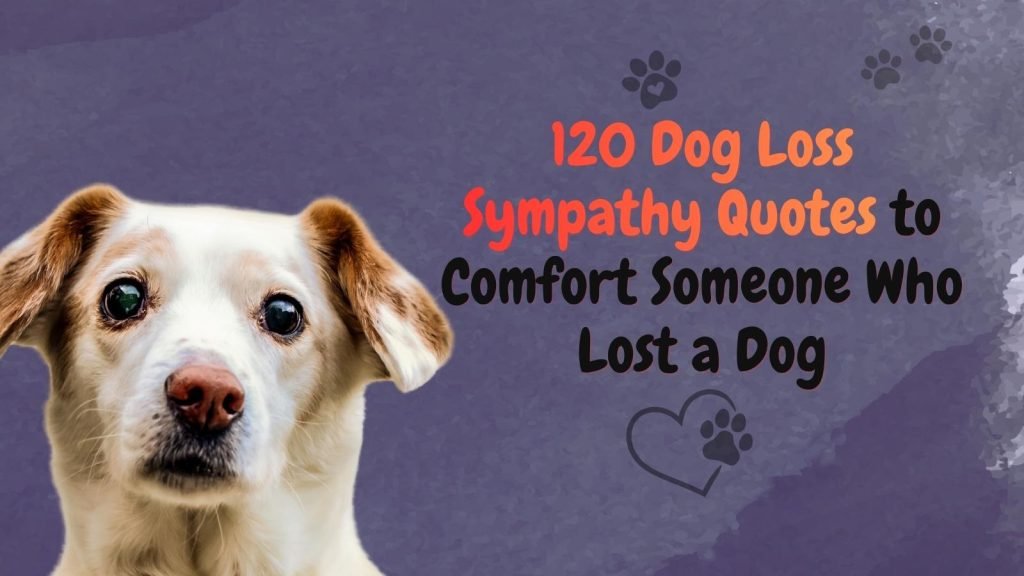 120 Dog Loss Sympathy Quotes