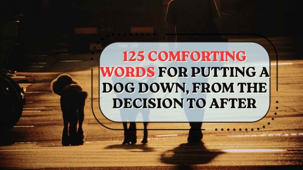 125 Comforting Words for Putting a Dog Down