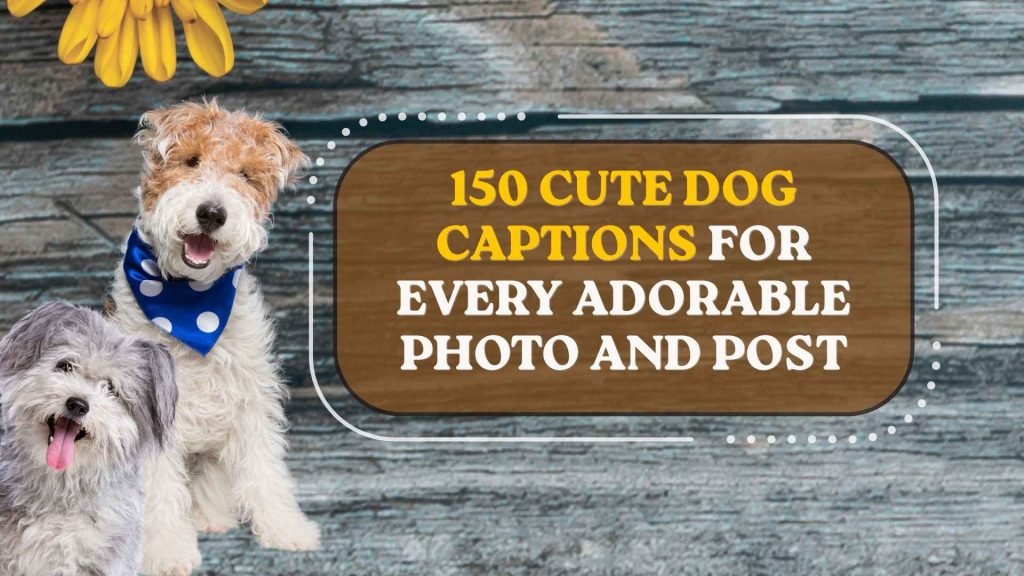 150 Cute Dog Captions for Every Adorable Photo and Post