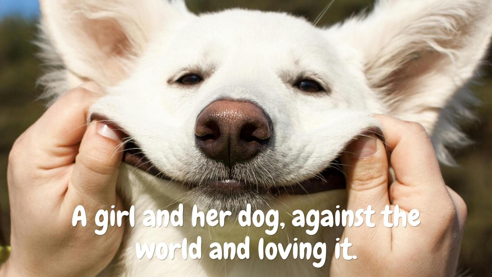 A Woman and Her Dog Quotes