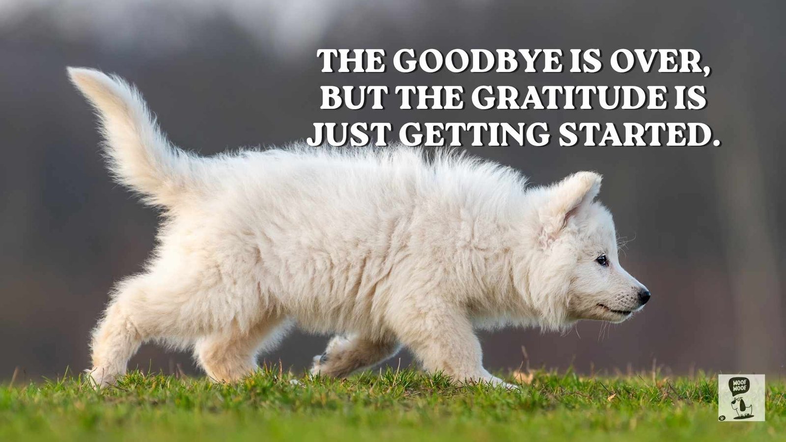 After the Goodbye Words for the First Quiet Days