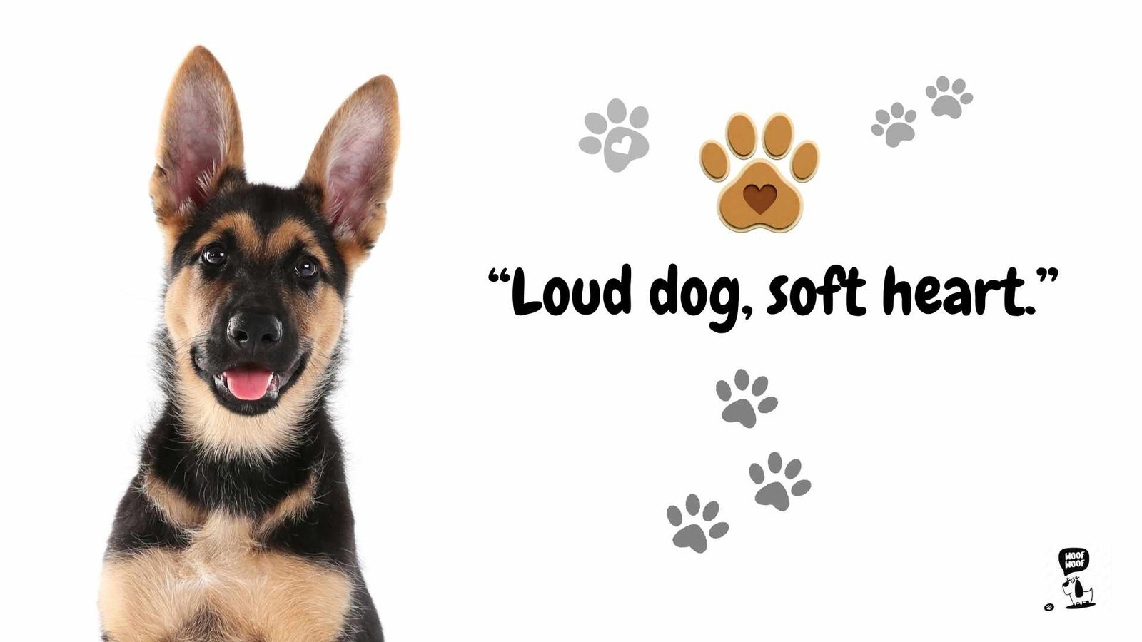 Barking Dog Sayings