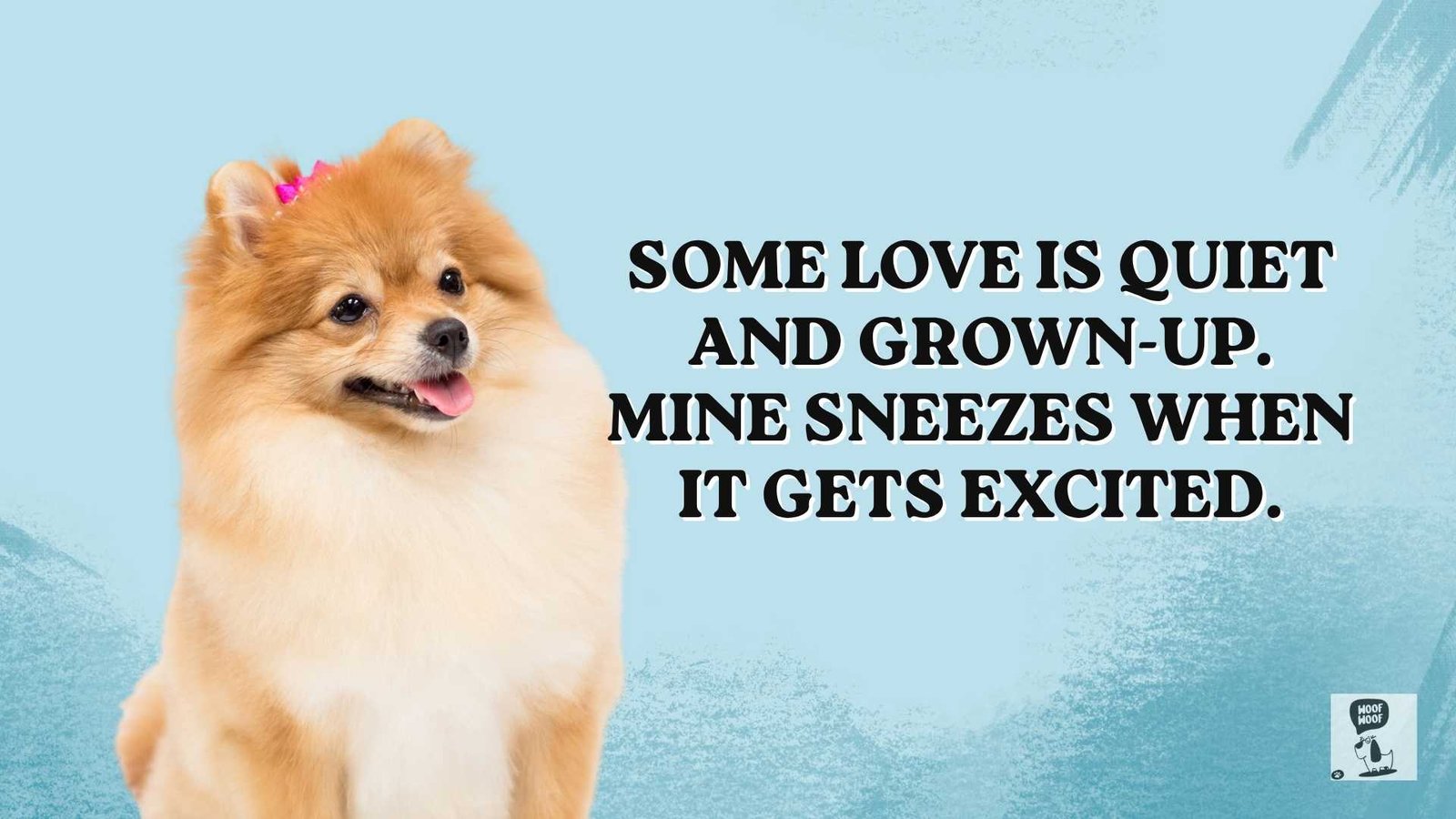 Best Cute Dog Love Quotes