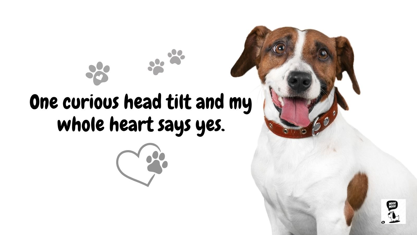 Best Cute Dog Quotes