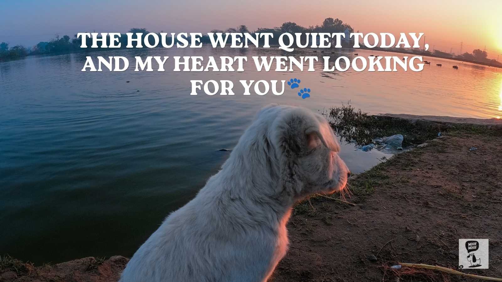 Best Dog Death Instagram Captions