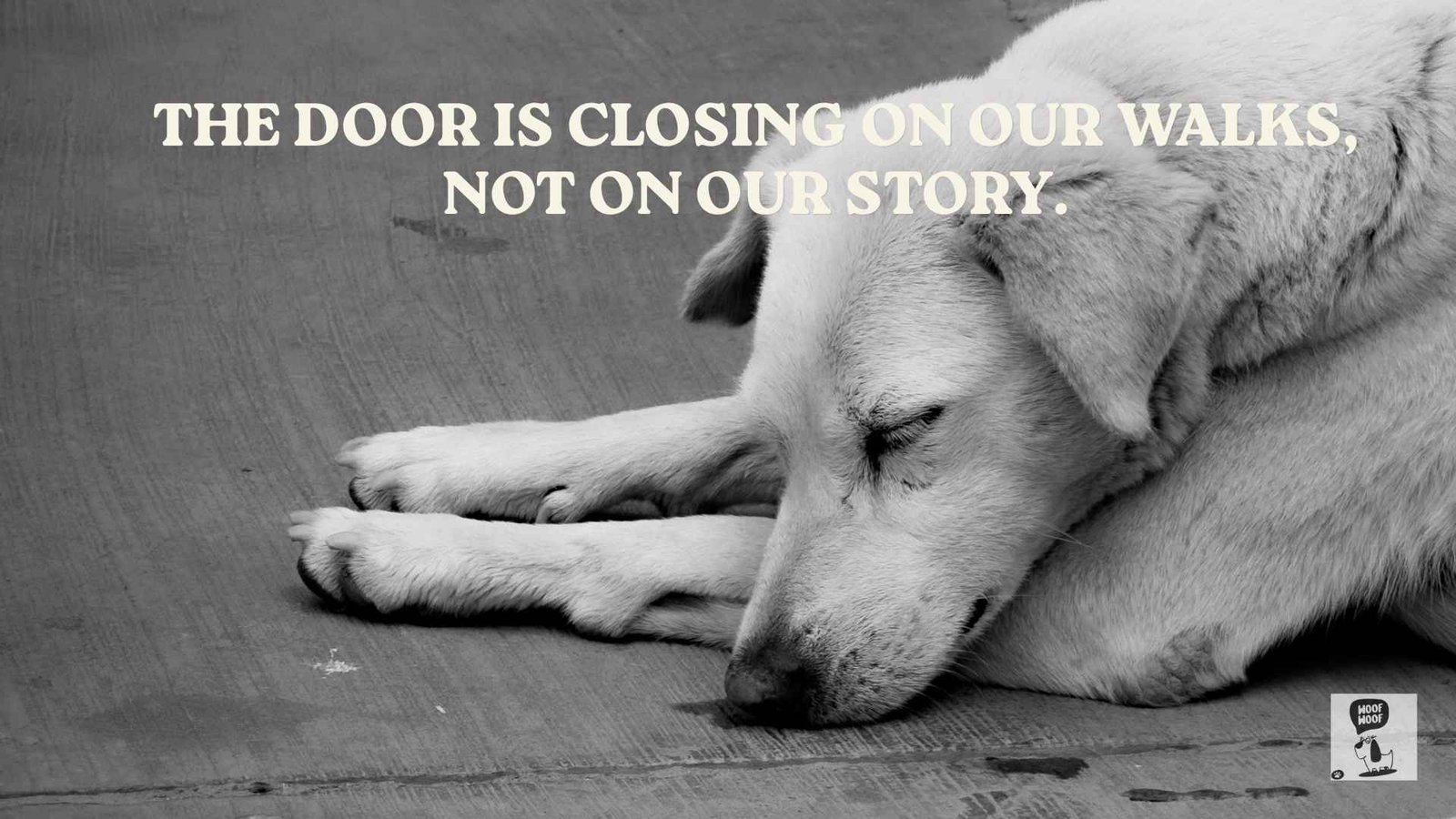 Best Dog Farewell Quotes