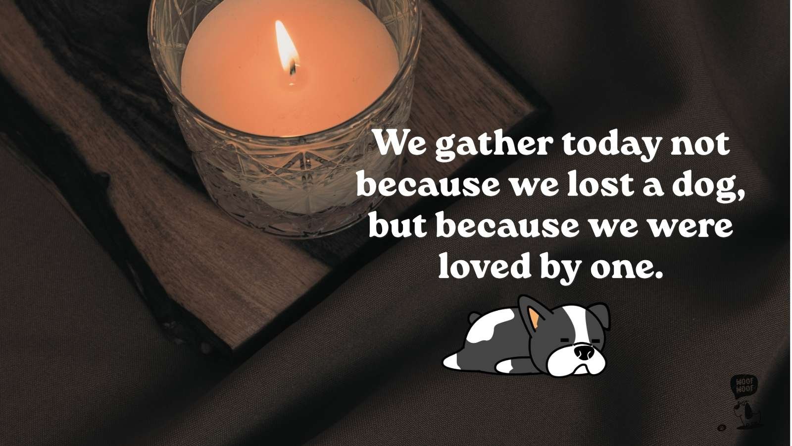 Best Dog Funeral Quotes
