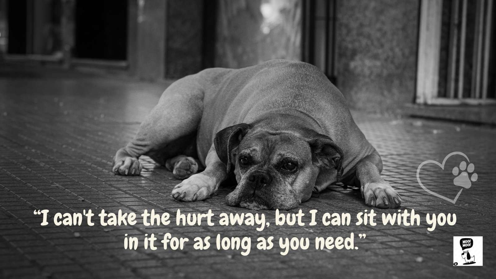 Best Dog Loss Sympathy Quotes
