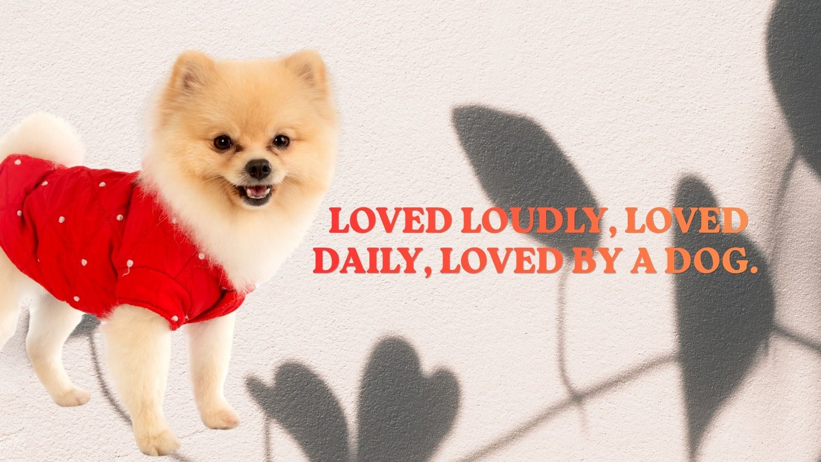 Best Dog Love Quotes for Instagram