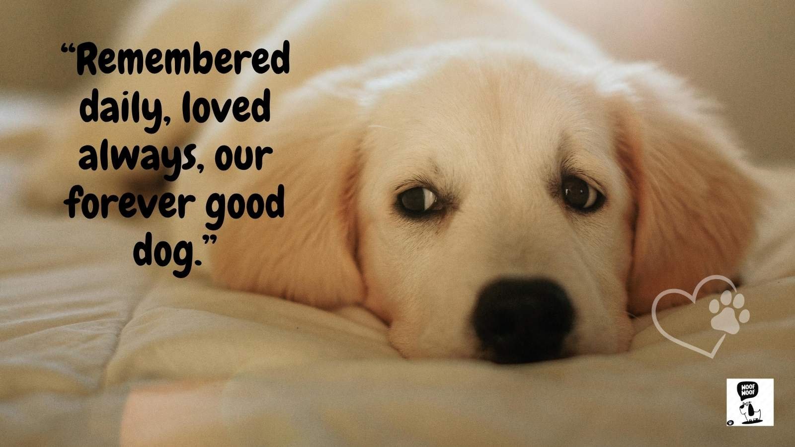 Best Dog Memorial Quotes