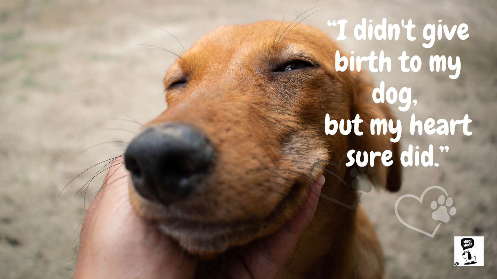 Best Dog Mom Quotes