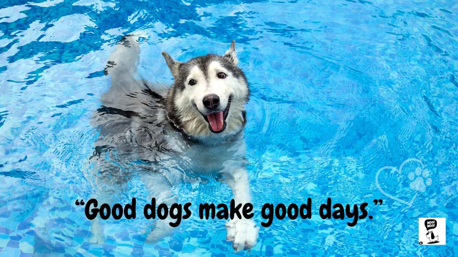 Best Dog Sayings
