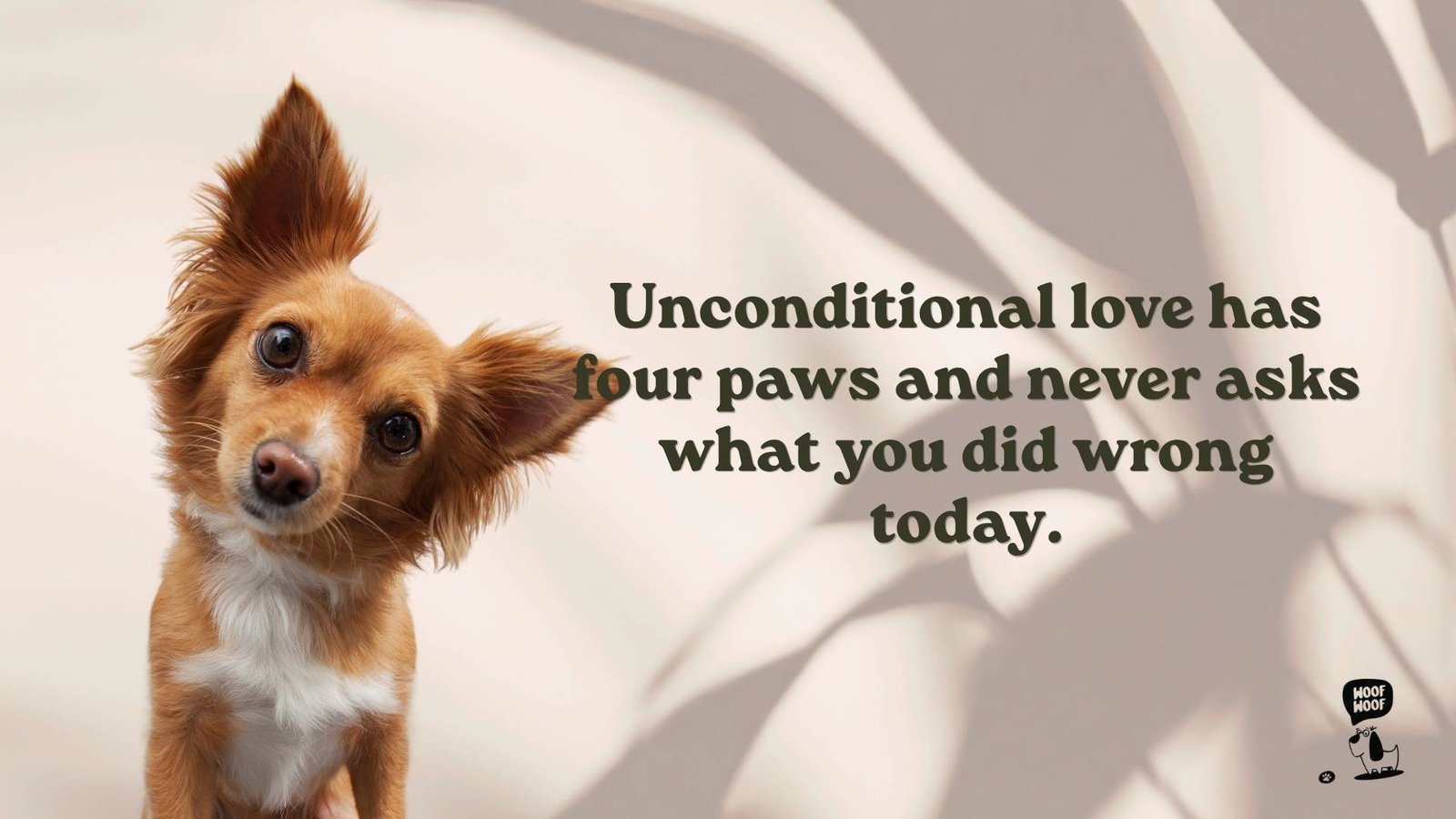 Best Dogs Love Unconditionally Quotes