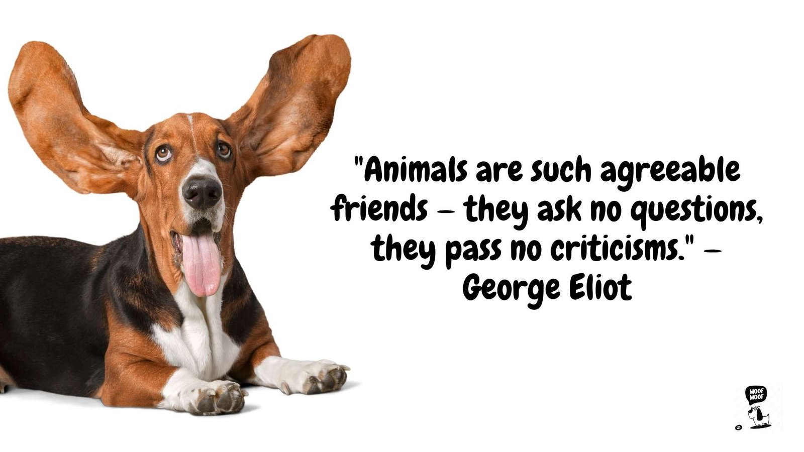 Best Famous Dog Quotes