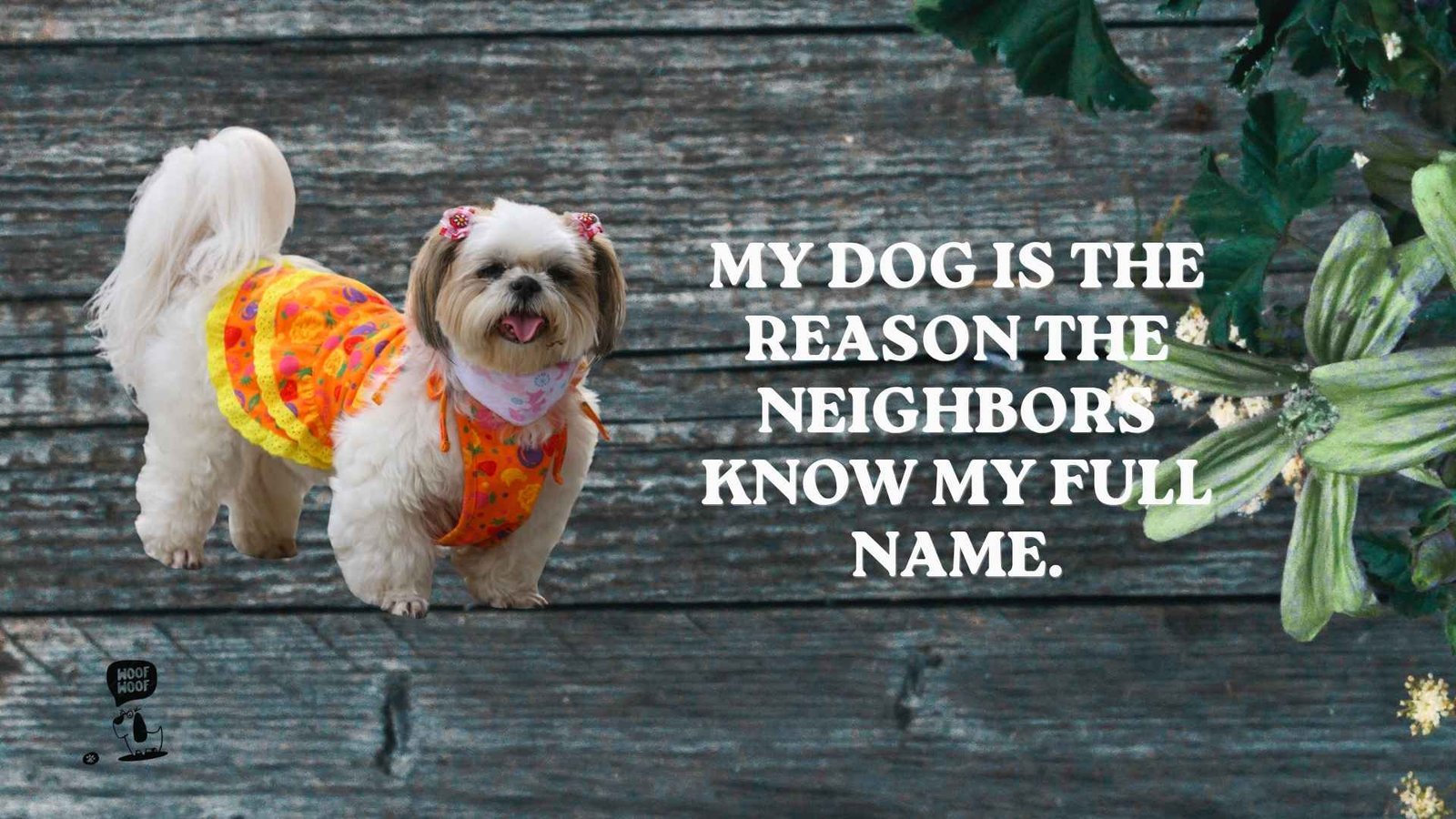 Best Funny Dog Captions