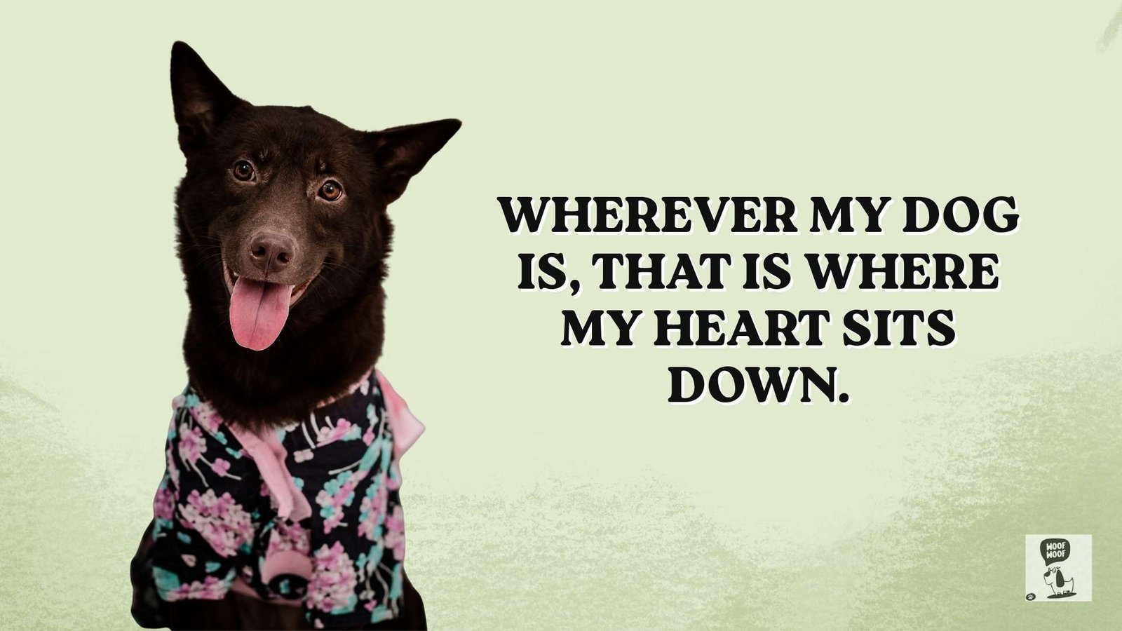 Best Love for My Dog Quotes