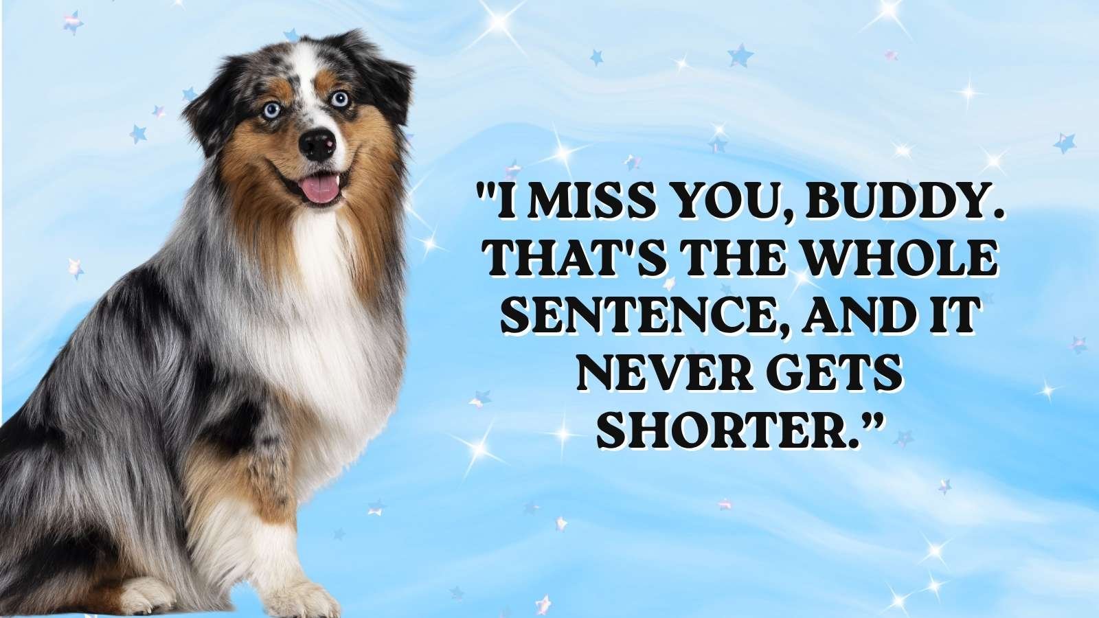 Best Miss You Dog Quotes