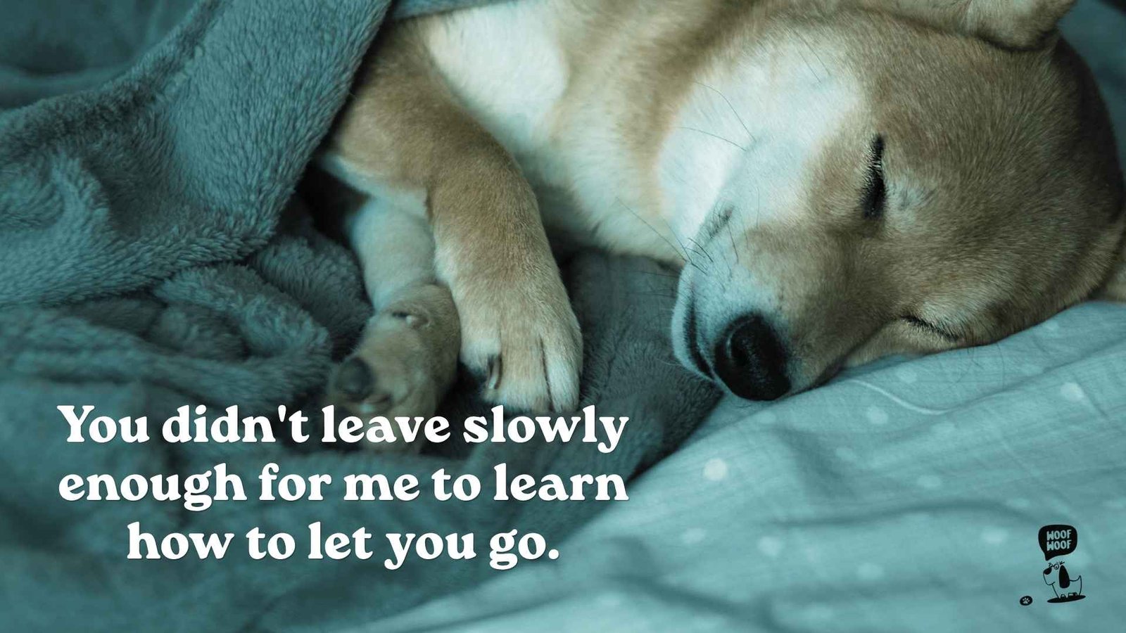 Best Sudden Loss of a Dog Quotes