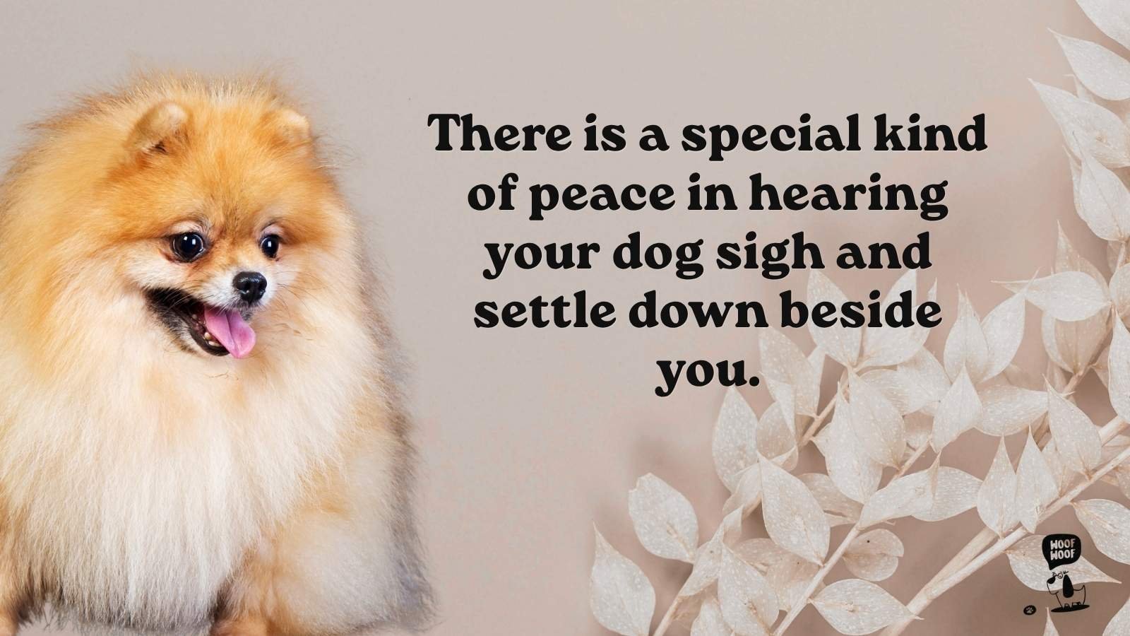 Best Touching Dog Quotes