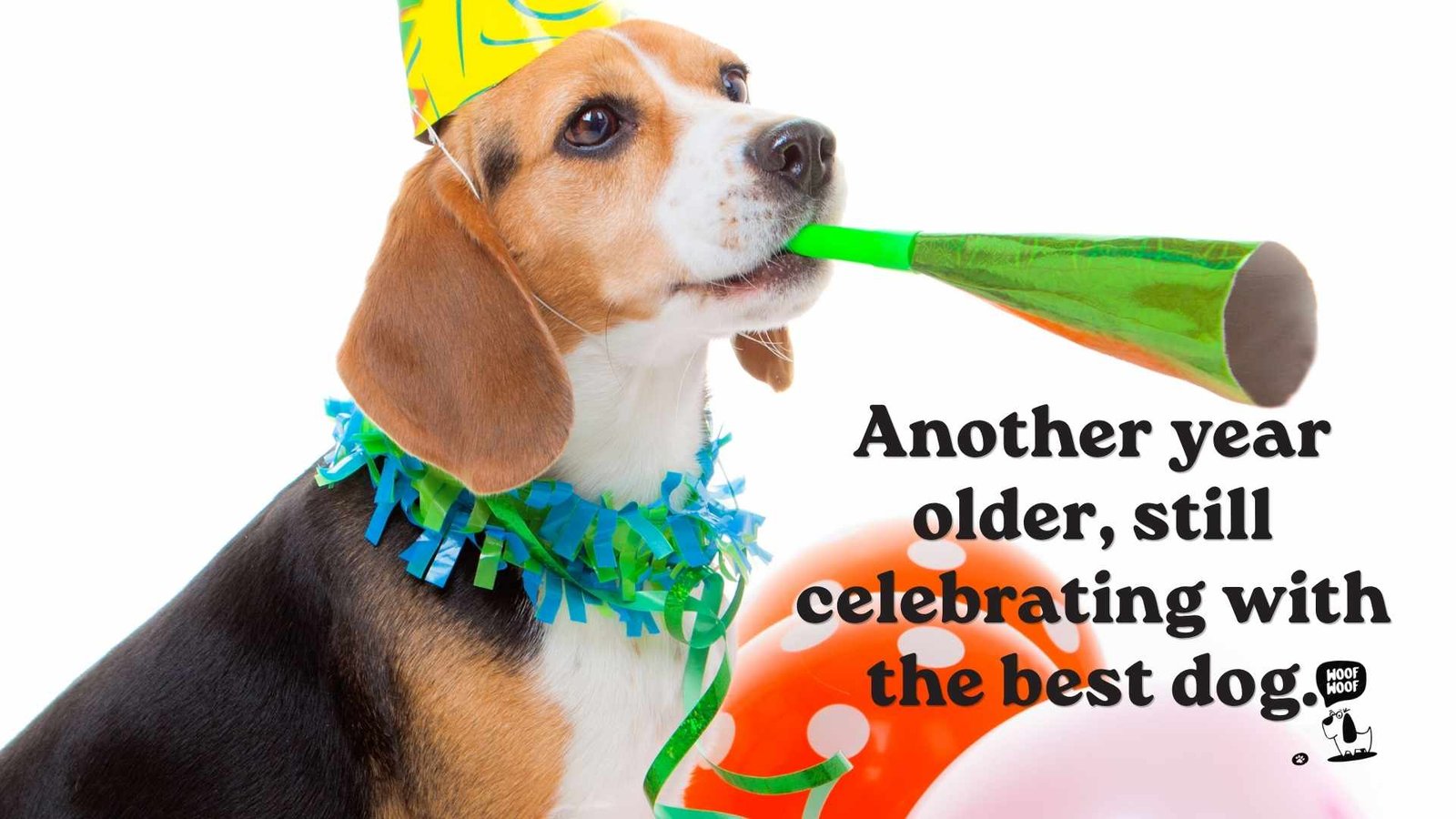 Birthday Captions With My Dog