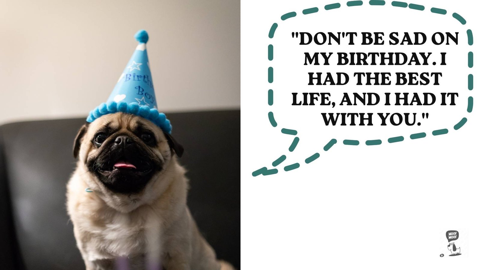 Birthday Messages From Your Dog in Heaven