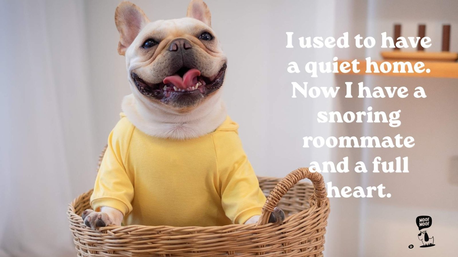 Bulldog Quotes for Proud Bulldog Moms and Dads