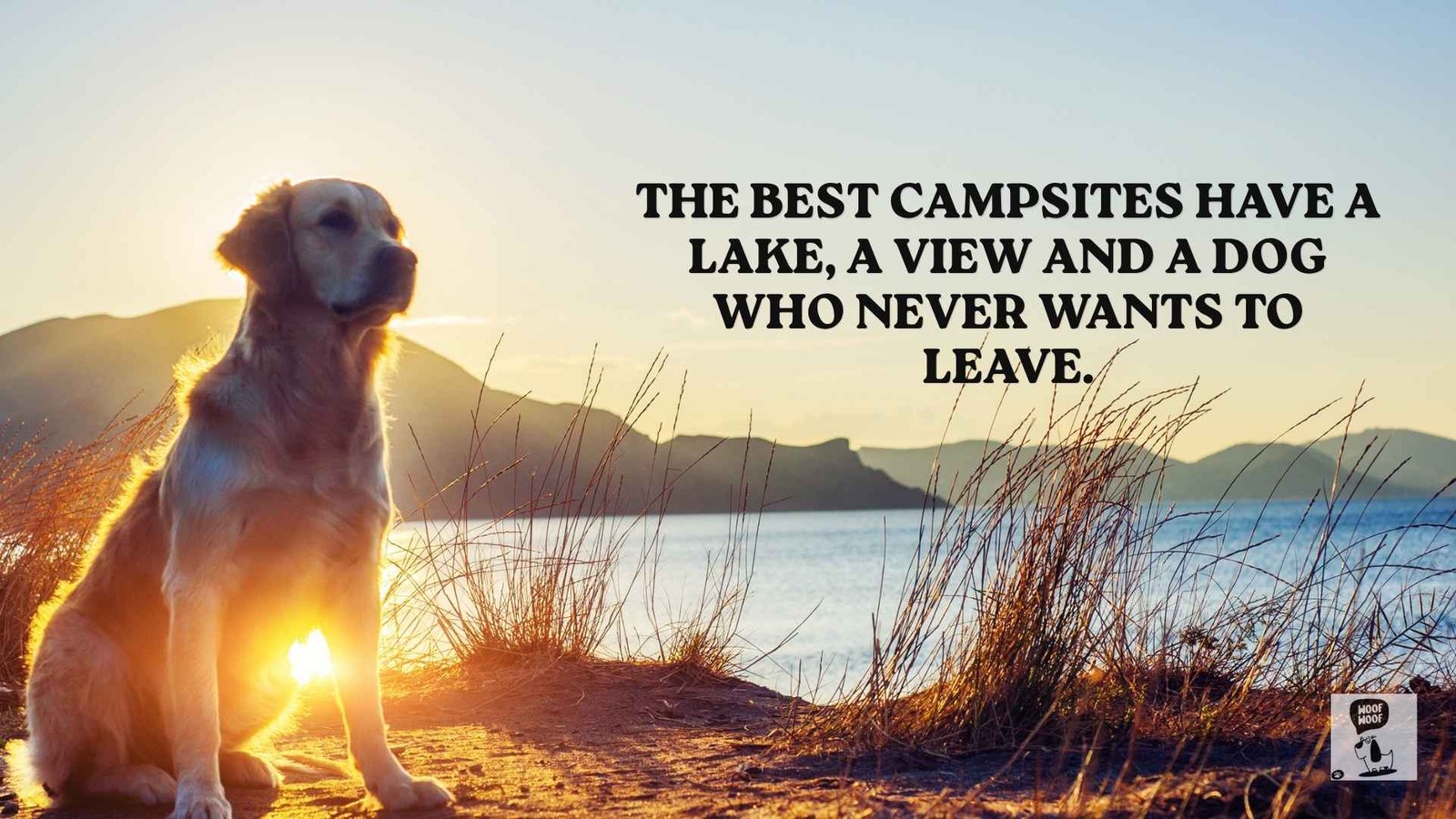 Camping With Your Dog Quotes