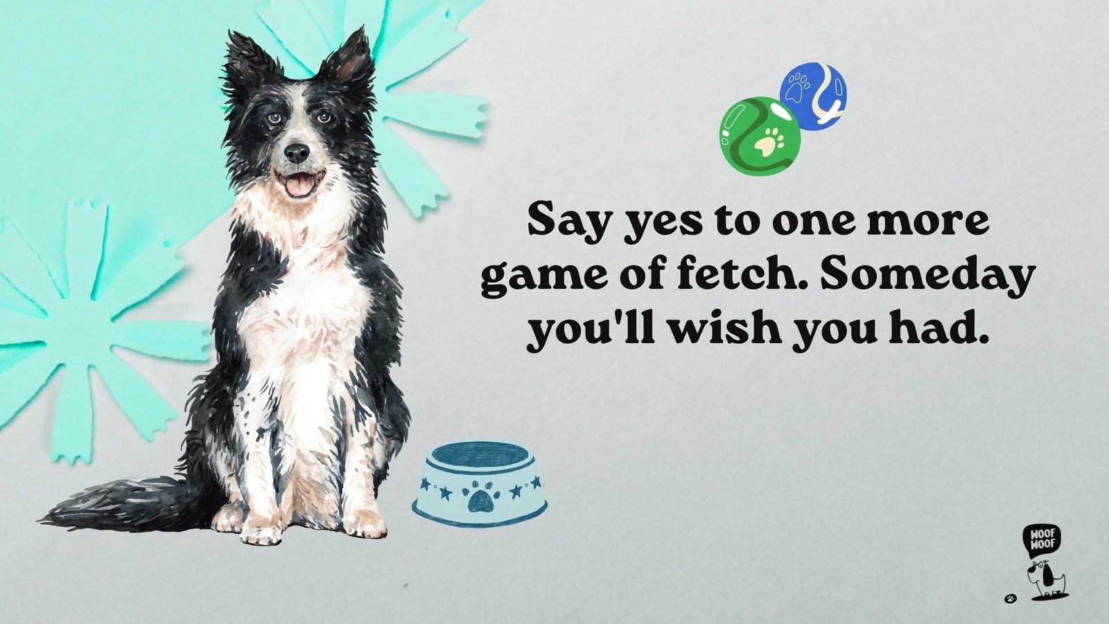 Cherish-the-Moment Quotes About Dogs' Short Lives