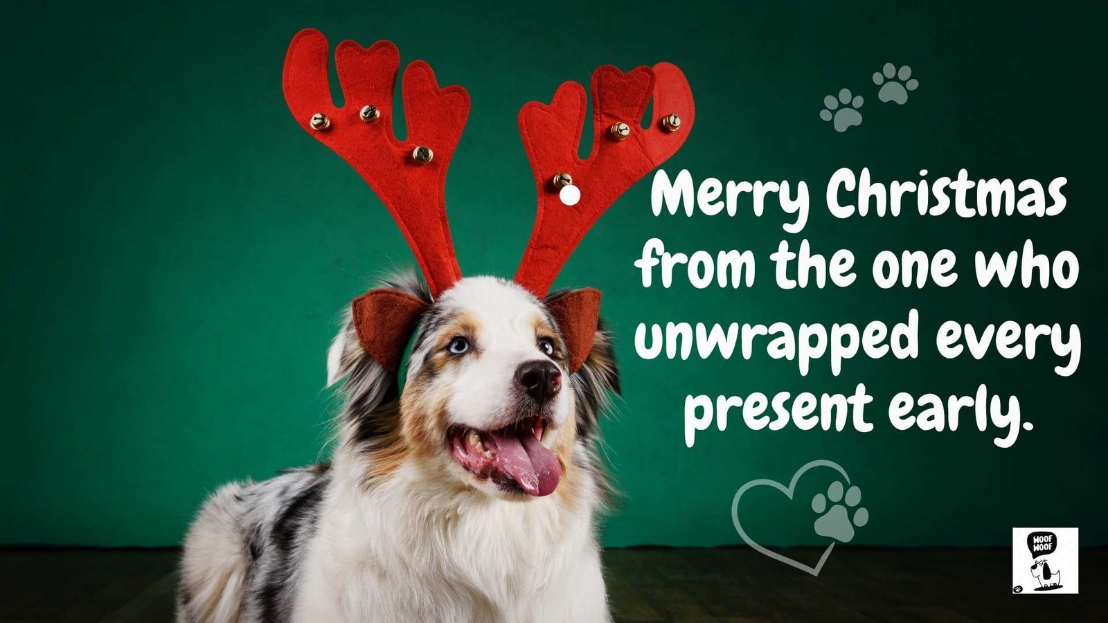 Christmas Dog Quotes and Captions