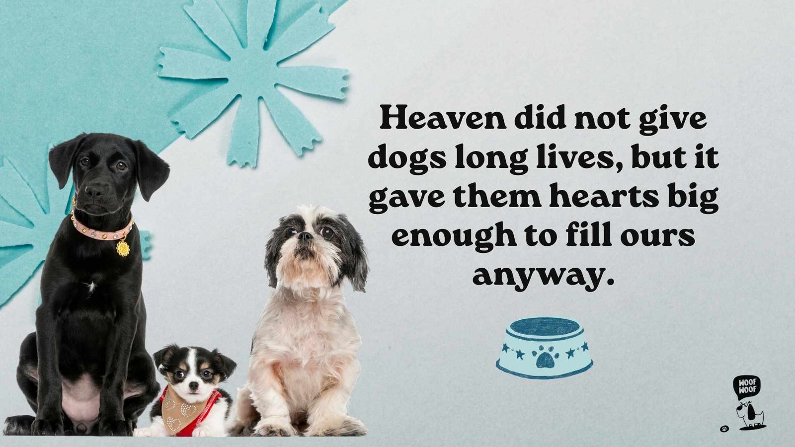 Classic and Faith-Filled Words on Dogs' Short Lives