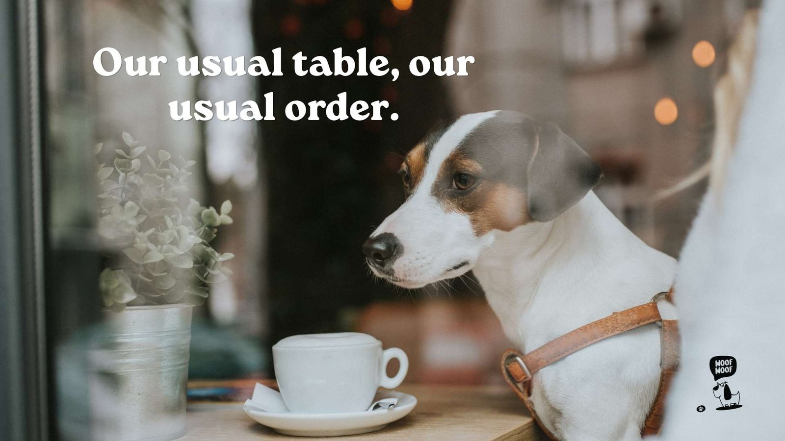 Coffee and Brunch Date Captions With My Dog
