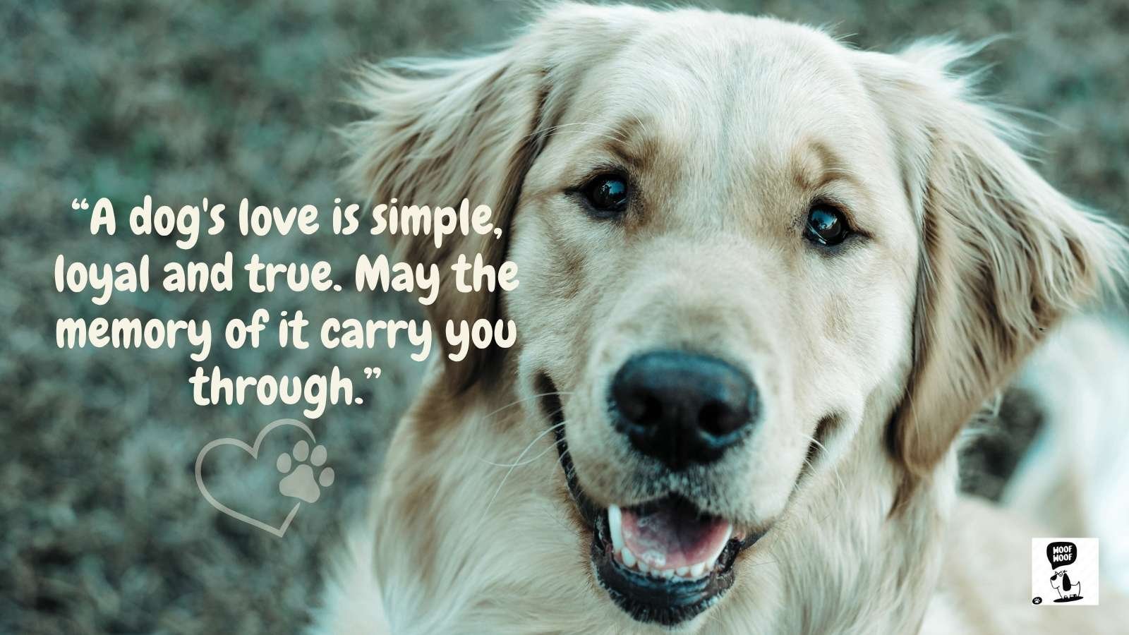 Comfort Sympathy Loss of Dog Quotes With Famous Words