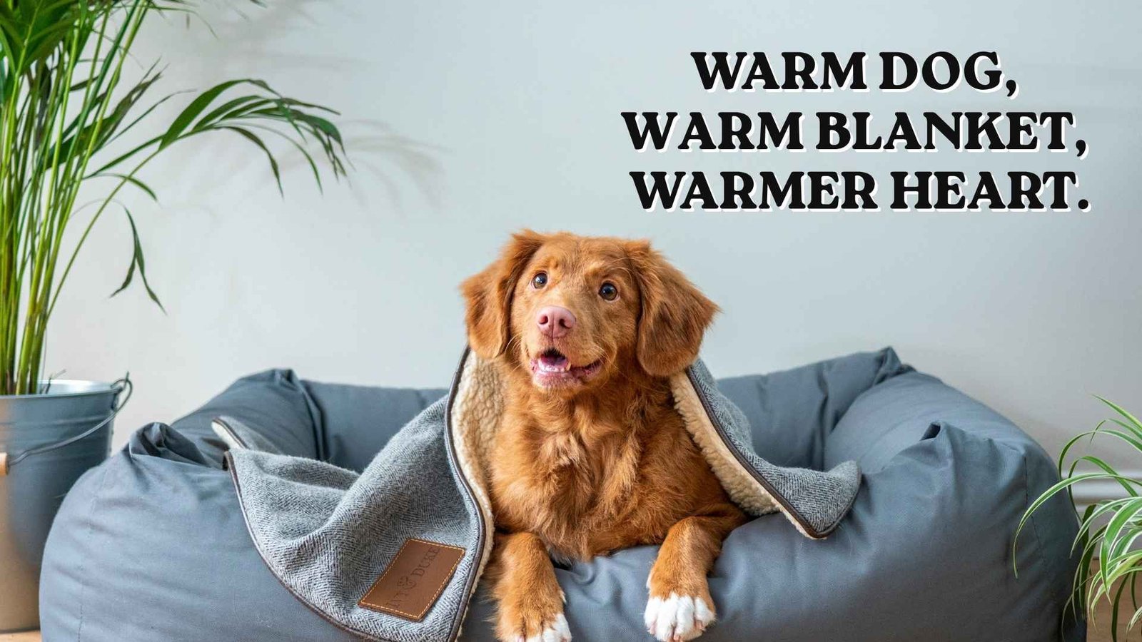 Cuddle and Snuggle Dog Love Quotes