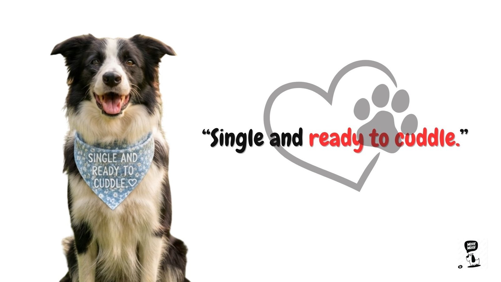 Cute Bandana Sayings for Shelter Dogs