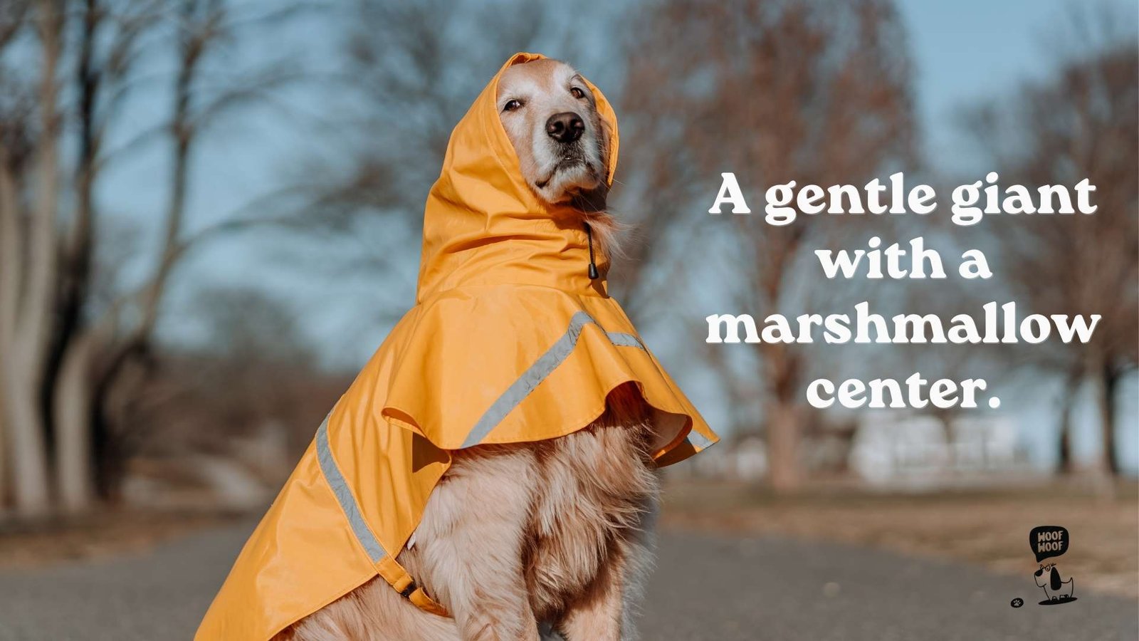 Cute Captions for Big Dogs With Soft Hearts