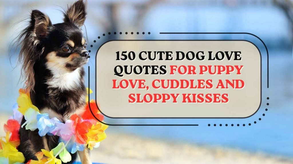 Cute Dog Love Quotes for Puppy Love, Cuddles and Sloppy Kisses