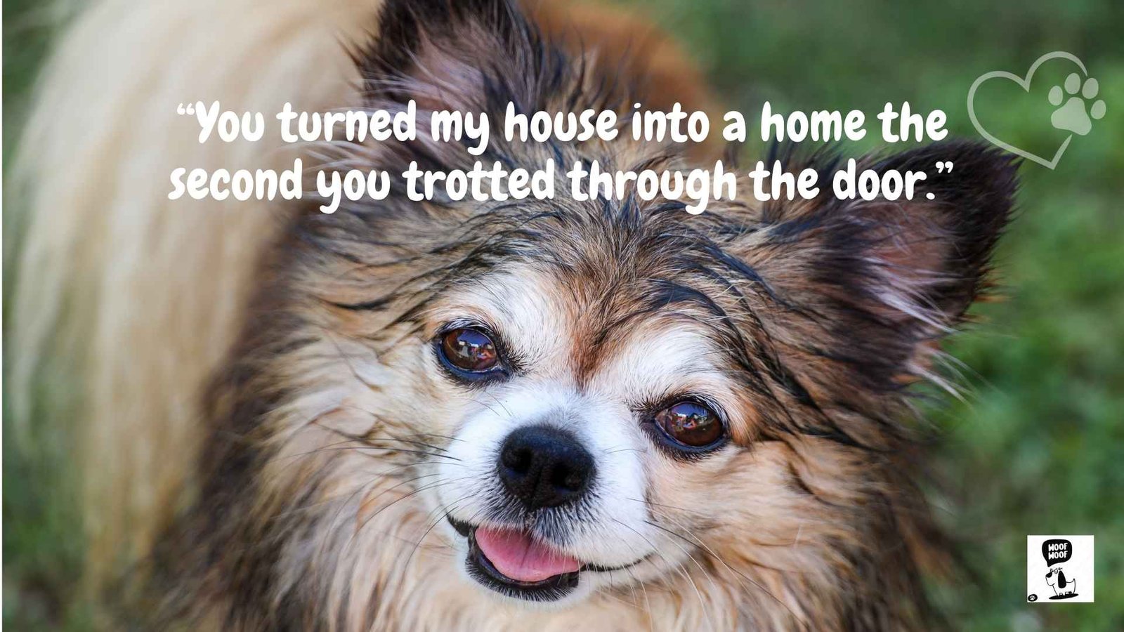 Cute Dog Mom Love Quotes