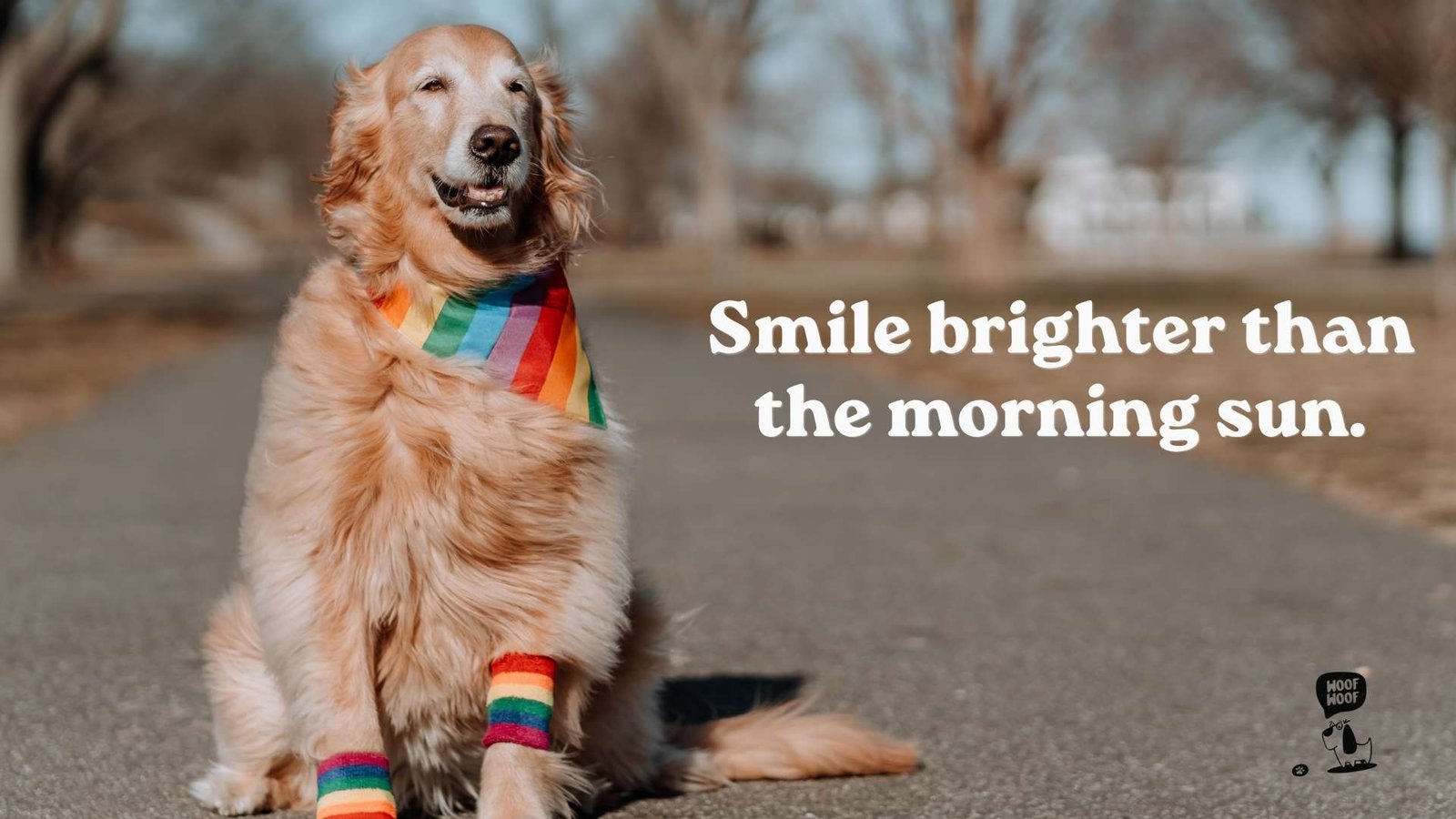 Cute Dog Photo Captions for the Little Details