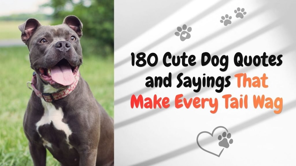 Cute Dog Quotes and Sayings