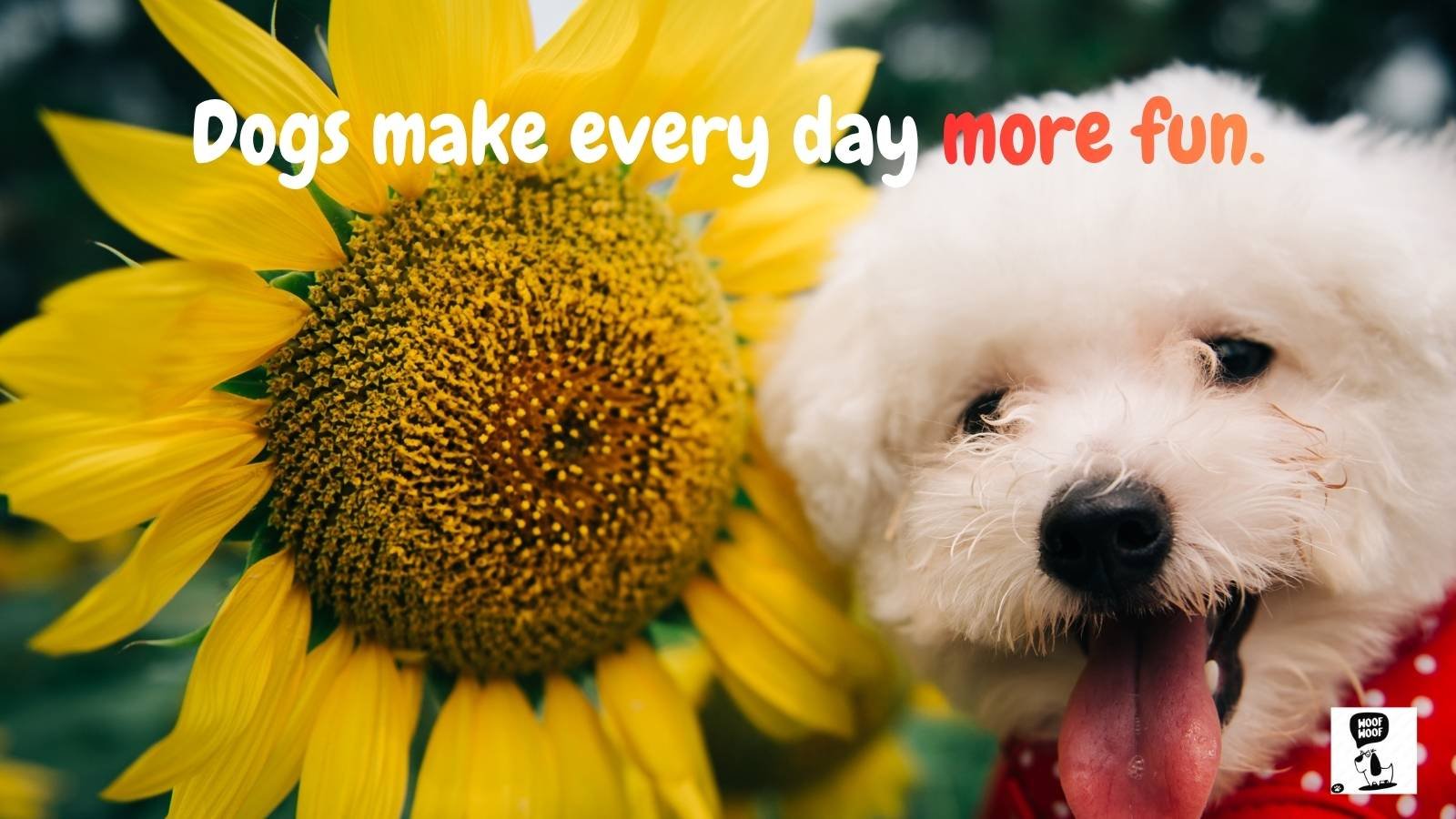 Cute Dog Quotes for Kids