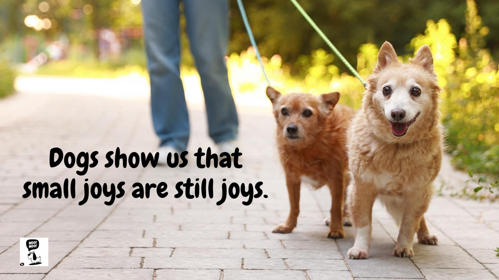Cute Inspirational Dog Quotes