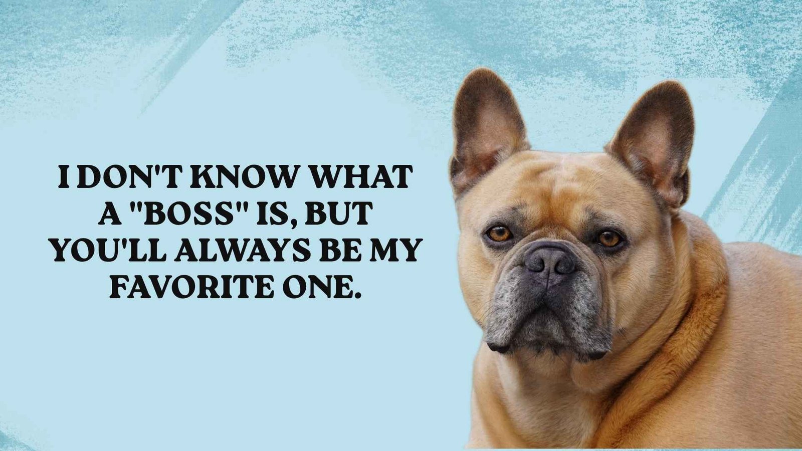 Cute Love Notes From Your Dog