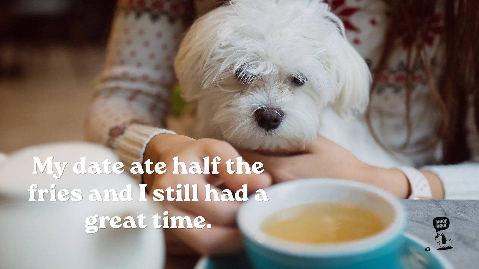 Date With My Dog Captions