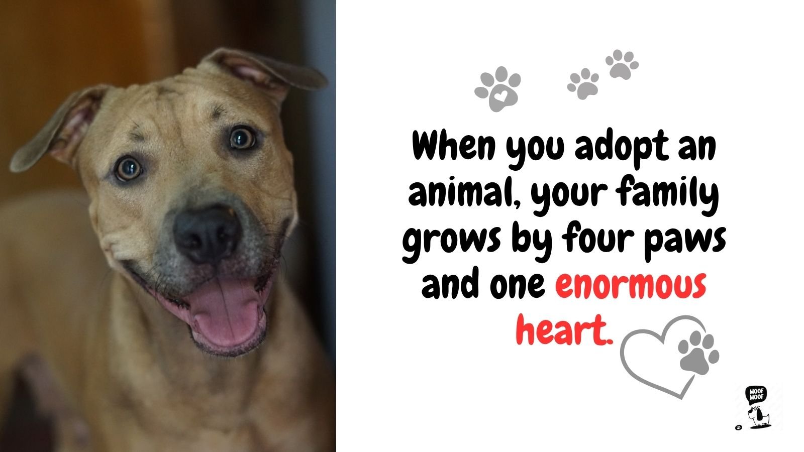 Dog Adoption Quotes