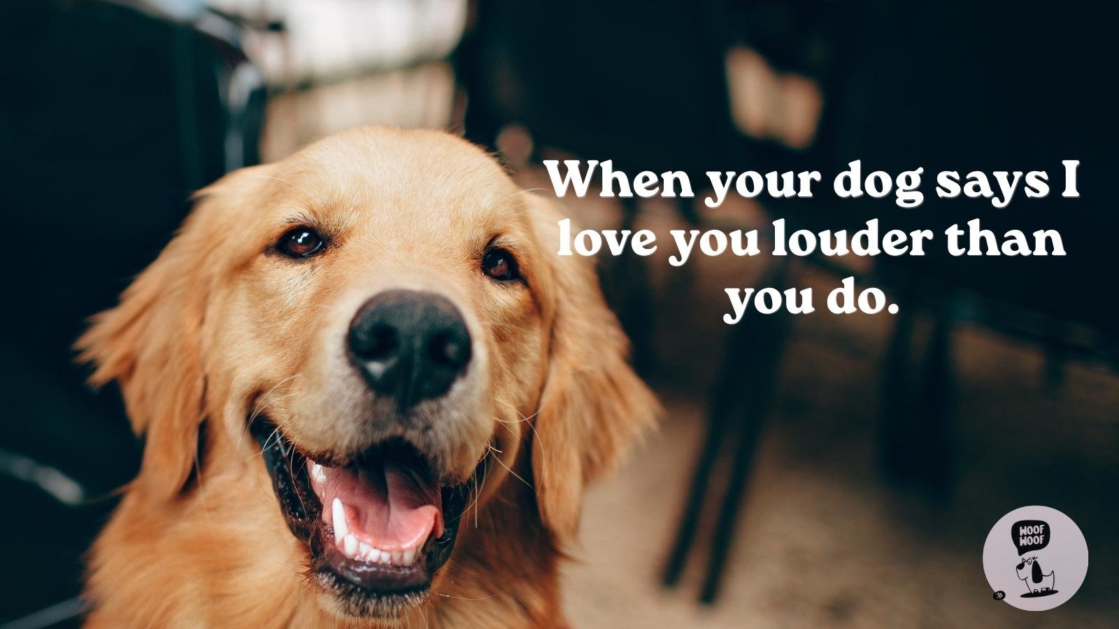 Dog Barking Saying I Love You