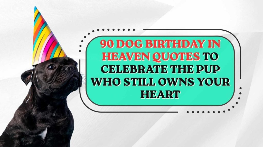 Dog Birthday in Heaven Quotes
