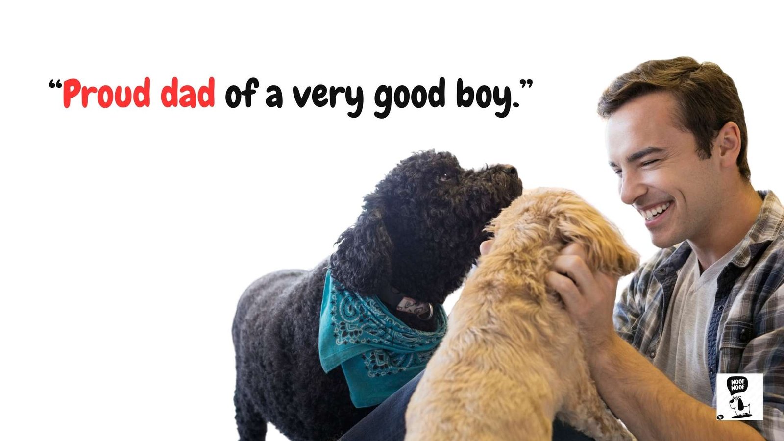 Dog Dad Quotes