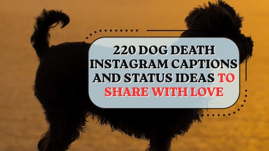 Dog Death Instagram Captions and Status Ideas