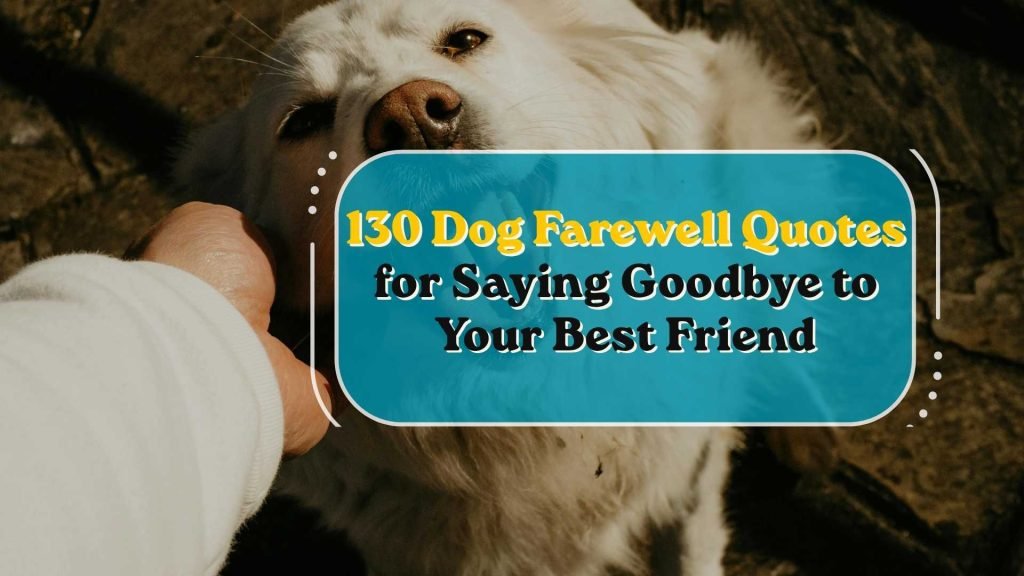 Dog Farewell Quotes